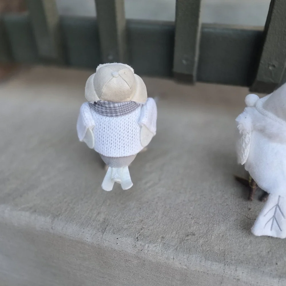 Lot of 4 Target Wondershop Winter Birds 2021/ 2022 Tricot,Flurry,Weft, Dewey,
